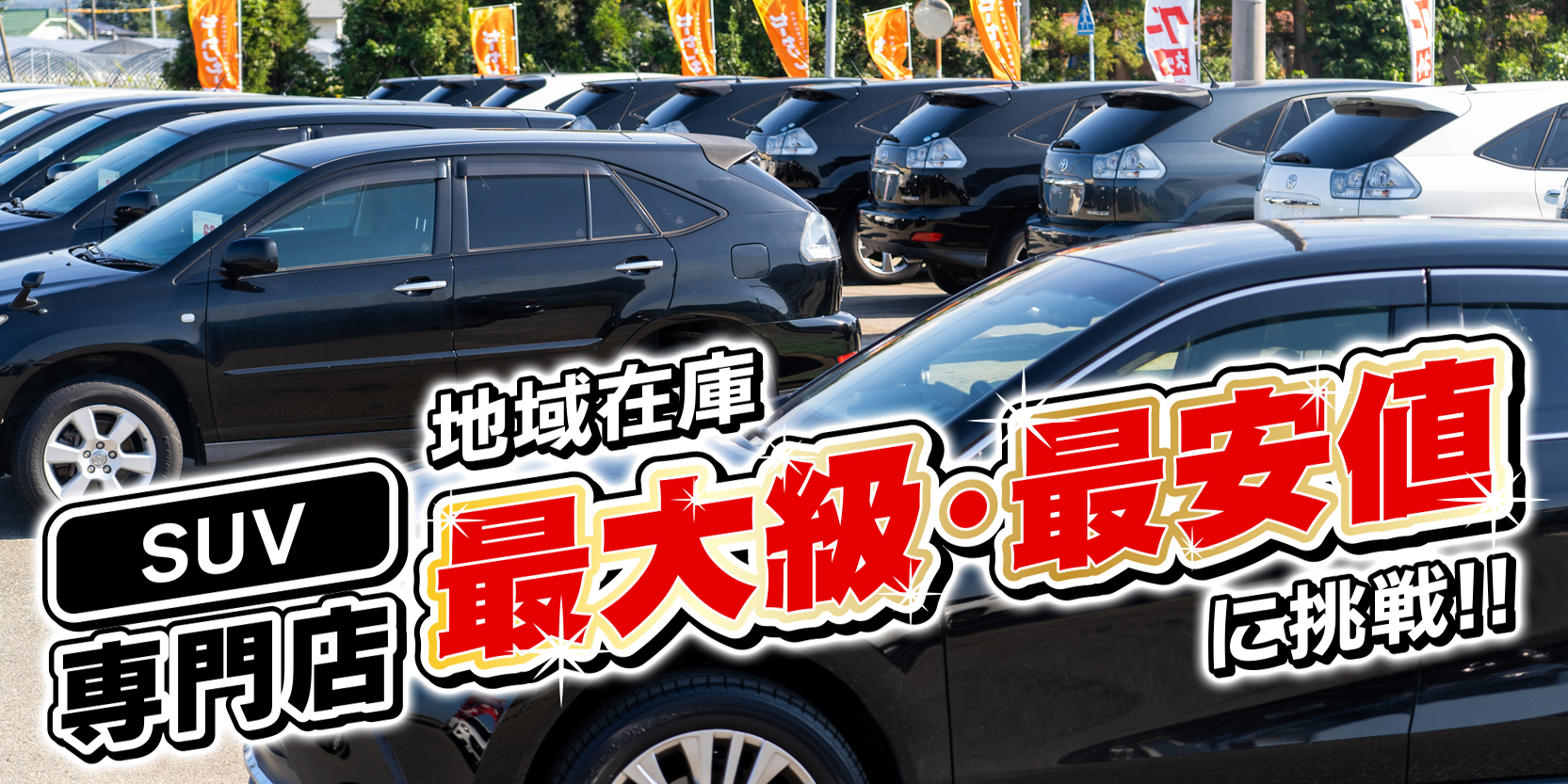 最大級・最安値に挑戦